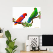 Eclectus Parrots & Bromeliads afdrukken Poster (Thuiskantoor)