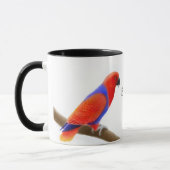 Eclectus Parrots la tasse (Gauche)