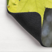 Eclesiastes 3:1 con Hojas Muismat (Hoek)