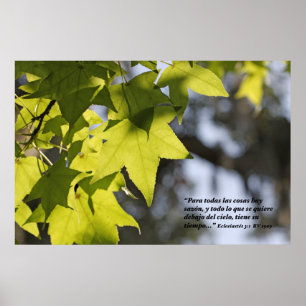 Eclesiastes 3:1 con Hojas Poster