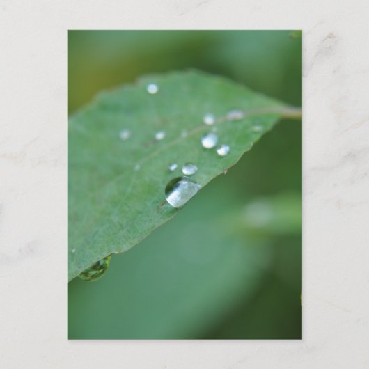 Eco Briefkaart (Voorkant)