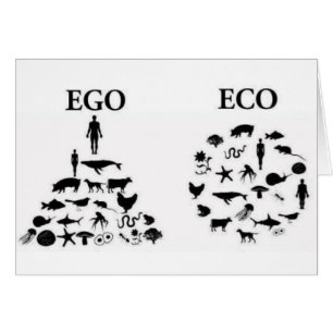 Eco contre l'amour-propre