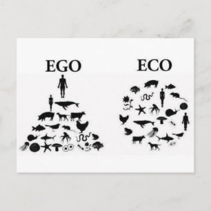 eco-ego briefkaart
