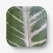 Eco Harmony 7" vierkant papier Bord (Voorkant)