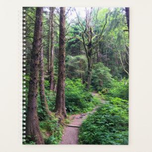 Ecola State Park, Cannon Beach, Oregon