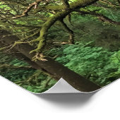 Ecola State Park, Cannon Beach, Oregon Poster (Hoek)