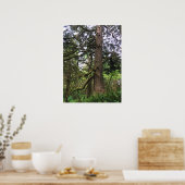 Ecola State Park, Cannon Beach, Oregon Poster (Keuken)