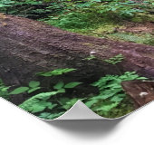 Ecola State Park, Cannon Beach, Oregon Poster (Hoek)