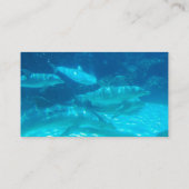 École des cartes de visite de dauphins (Dos)