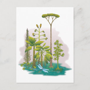 Ecologie : plant een boom - briefkaart