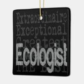 Ecoloog Extraordinaire Keramisch Ornament (Links)
