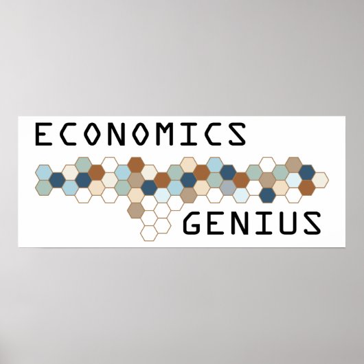 Economie Genius Poster (Voorkant)