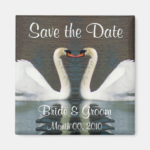 Économies de cygne le magnet de date
