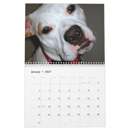 Économies de Pitbull le calendrier de race (Jan 2027)