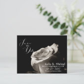 Économies romantiques de rose blanc les cartes de (Debout devant)