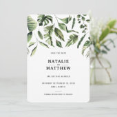 Économies tropicales modernes de feuille la carte (Debout devant)