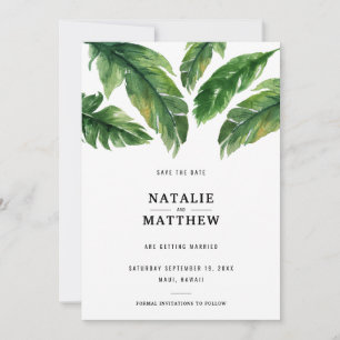 Économies tropicales modernes de feuille la carte