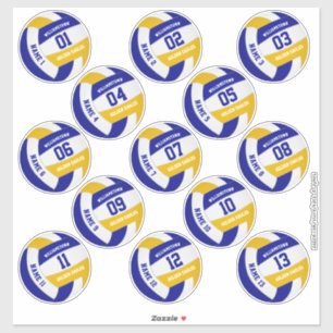 economische reeks van 13 volleybalteamkleuren sticker