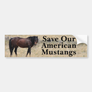 Économisez Notre Sticker Mustangs Bumper