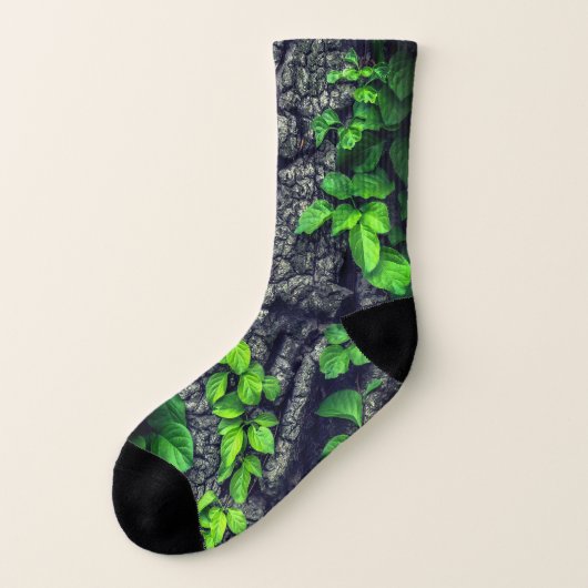 écorce couverte de vignes gris vert (Gauche - extérieur)