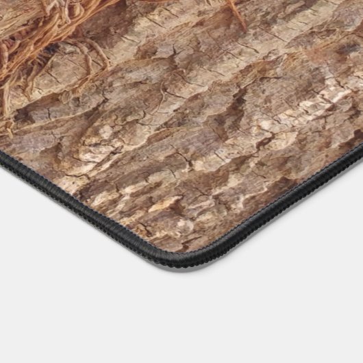 écorce d'arbre (Coin)