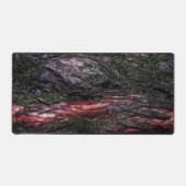 écorce de bois mossy roux (Recto)