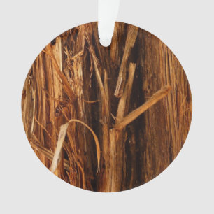 Écorce de bois texturée de cèdre