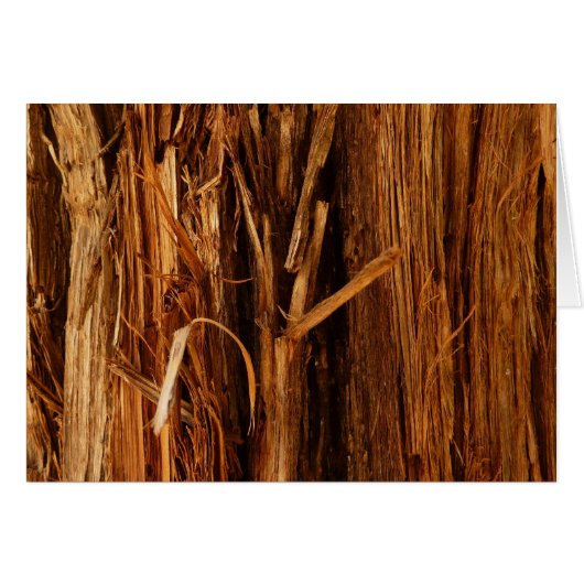 Écorce de bois texturée de cèdre (Devant Horizontal)