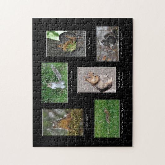 Écorces ! Puzzle (Vertical)