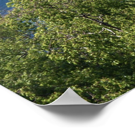 Ecosse - Eilean Donan Castle Poster (Coin)