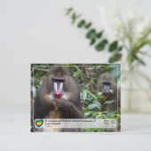 Ecosysteem en cultuurlandschap van Lopé-Okanda Briefkaart (Staand voorkant)