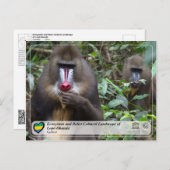 Ecosysteem en cultuurlandschap van Lopé-Okanda Briefkaart (Voorkant / Achterkant)