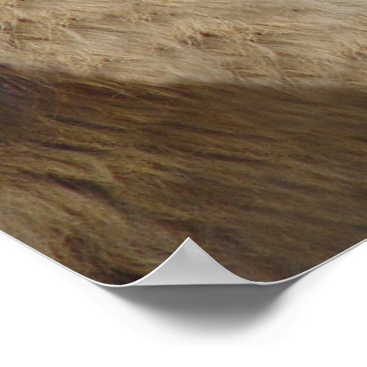 Écoute Ma, Pas De Caries ! Impression de l'affiche (Coin)