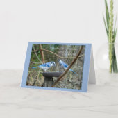 Ecouter Carte Écriture Isaiah avec Blue Jays (Devant)