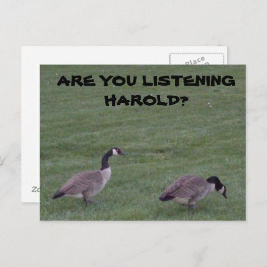 ÉCOUTEZ-VOUS HAROLD ? carte postale (Devant / Derrière)
