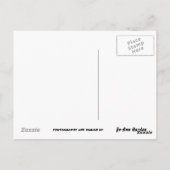 ÉCOUTEZ-VOUS HAROLD ? carte postale (Dos)