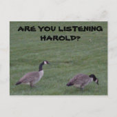 ÉCOUTEZ-VOUS HAROLD ? carte postale (Devant)