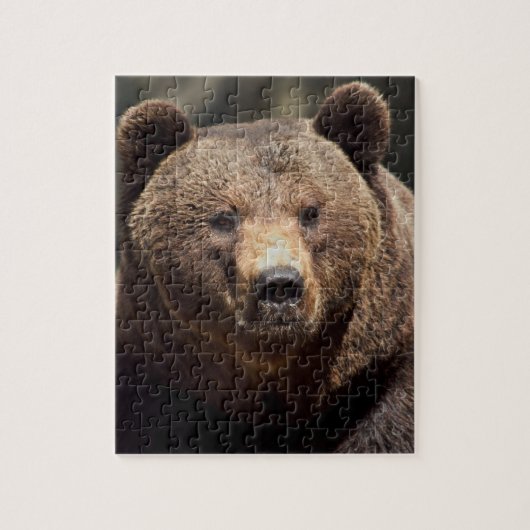 ÉCRAN GRIZLY BEAR 8X10 JIGSAW Puzzle (Vertical)
