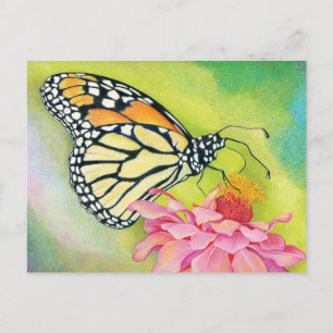 Écrire des cartes postales aux Démocrates - Brigad