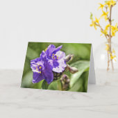 Écriture Fleur Sauvage Note Carte Hébreux 11:1 (Fleur jaune)