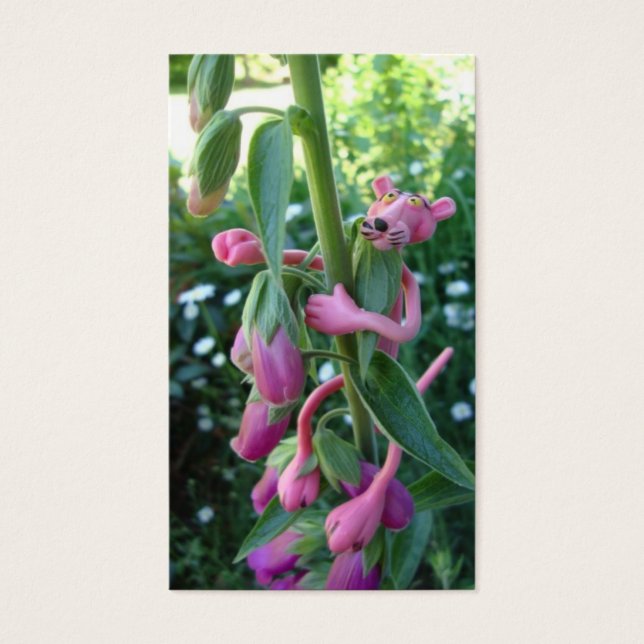 Écritures amusantes : Jean 15:5 (Devant)