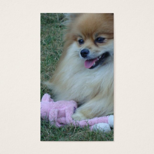 Écritures Fabriquées Amusantes : Psaume 37:4 (Devant)