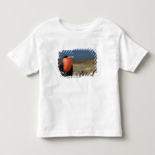 Ecuador, Galapagos, Genovesa-eiland. Prins Kinder Shirts