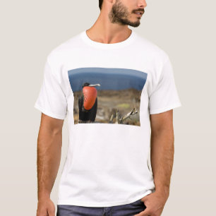 Ecuador, Galapagos, Genovesa-eiland. Prins T-shirt