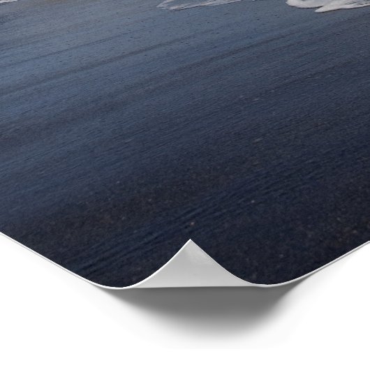 Ecuador, Galapagos, Santiago (alias James). 2 Poster (Hoek)