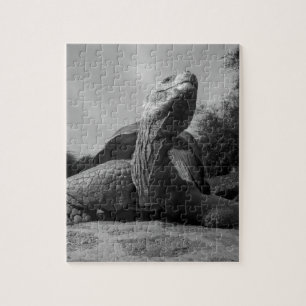 Ecuador, nationaal park Galapagos, Santa Legpuzzel