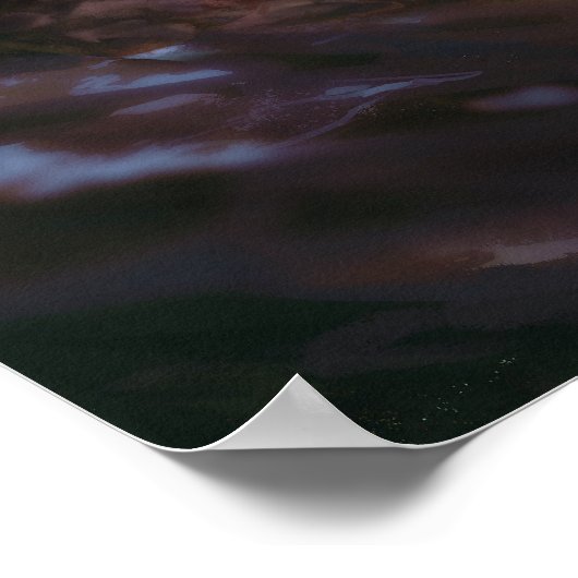 Ecuadoraanse kwebek poster (Hoek)