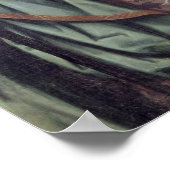 Ecuadoriaan uit Quito Poster (Hoek)