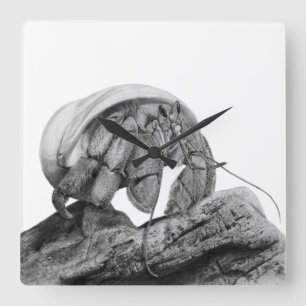 Ecuadorian Hermit Crab Coenobita Compressus Clock Vierkante Klok