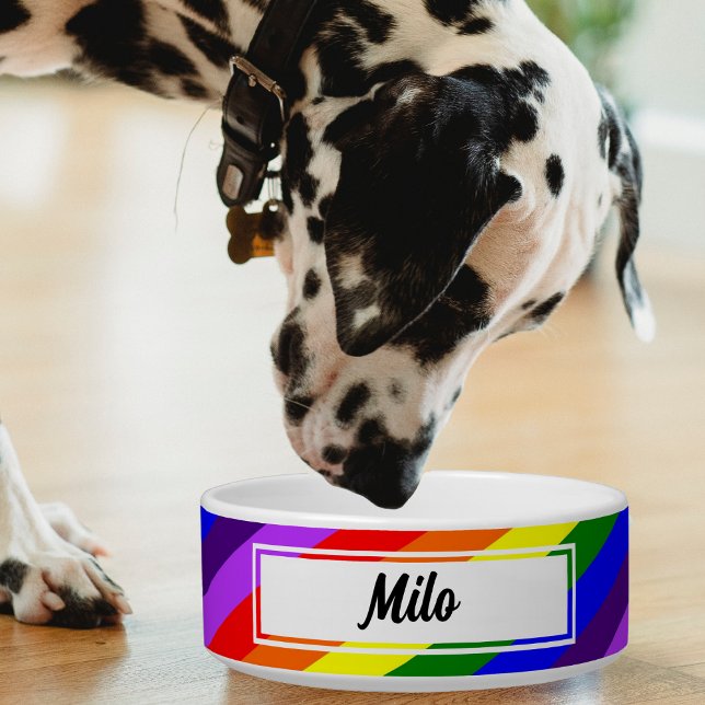 Écuelle Animaux arc-en-ciel diagonaux colorés (diagonal rainbow color pet bowl with Dalmatian dog)